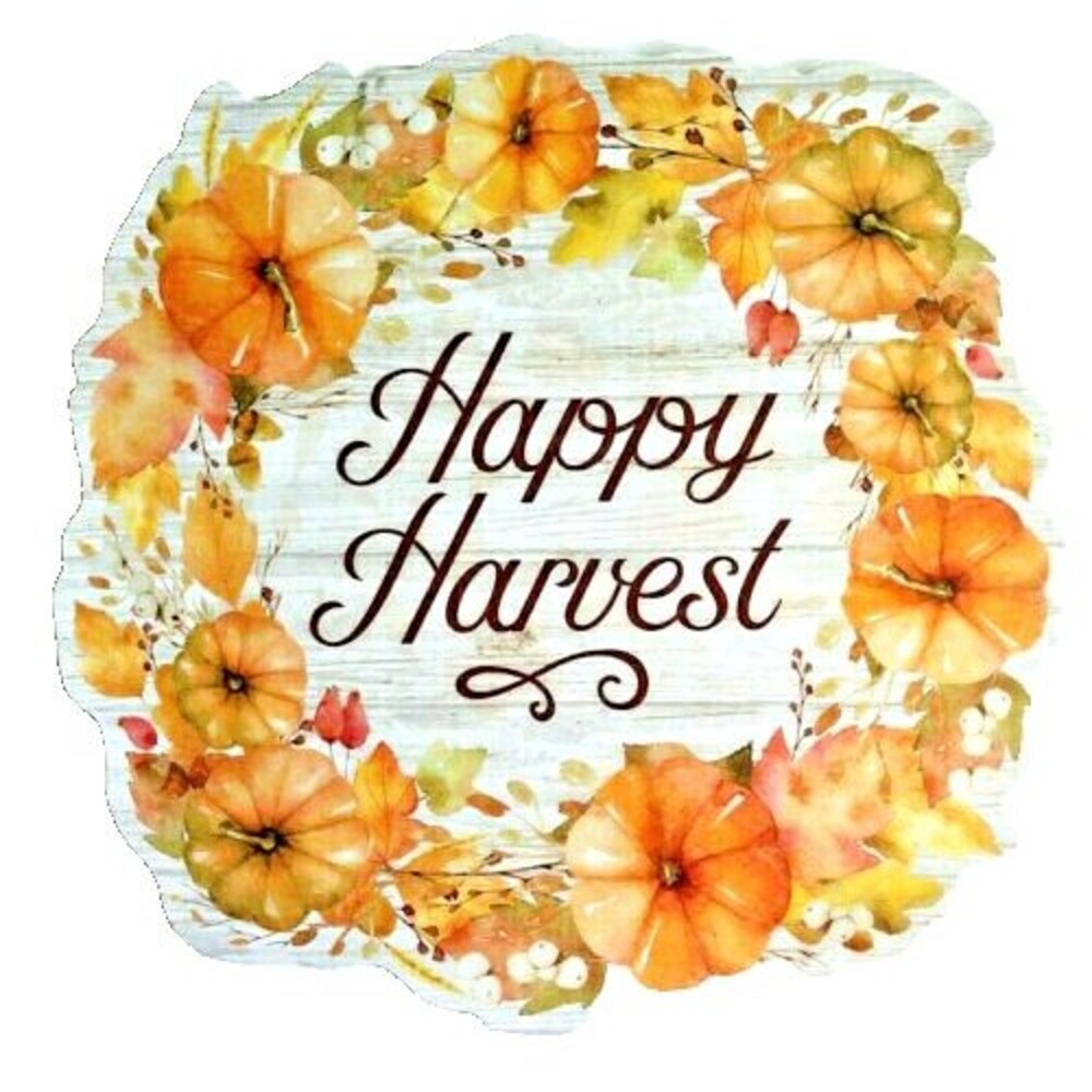 Thanksgiving Fall Wreath Placemats Vinyl Foam Back 13" Rd Happy Harvest Set of 4